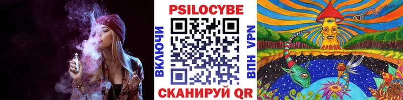 как найти   Псков  Галлюциногенные грибы GOLDEN TEACHER 