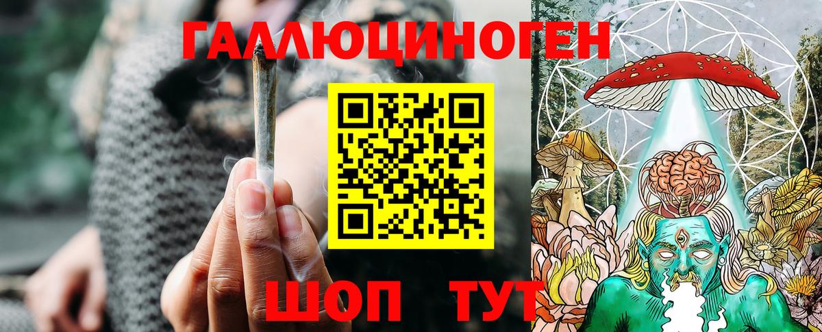 Псилоцибиновые грибы Cubensis Псков