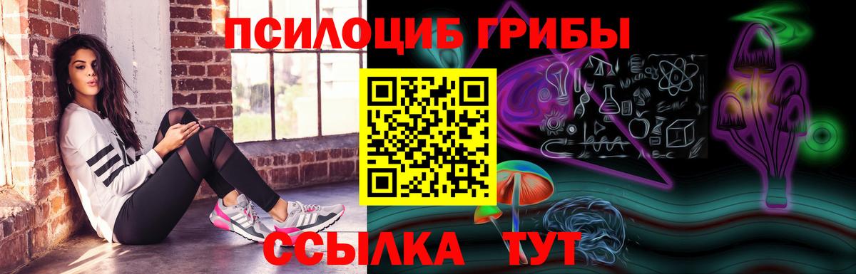 Псков  Галлюциногенные грибы прущие грибы  закладки  Вход с VPN 